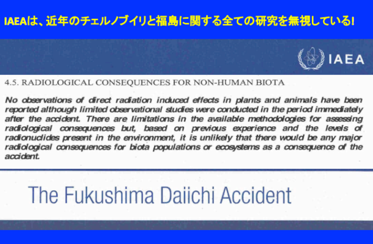 写真：IAEAの福島原発事故報告書（一部） 