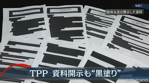 写真（TPP関連の黒塗り文書）　出典：テレビ東京 